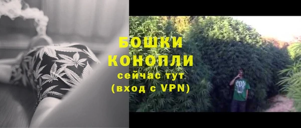 ГАЛЛЮЦИНОГЕННЫЕ ГРИБЫ Михайловск