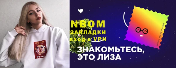 сатива Михайловка