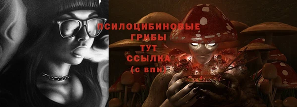 ГАЛЛЮЦИНОГЕННЫЕ ГРИБЫ Михайловск