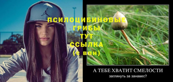 сатива Михайловка